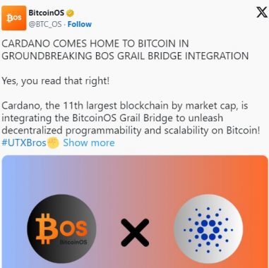 Протокол BitcoinOS запустил биткоин-мост для Cardano
Протокол BitcoinOS запустил биткоин-мост для Cardano