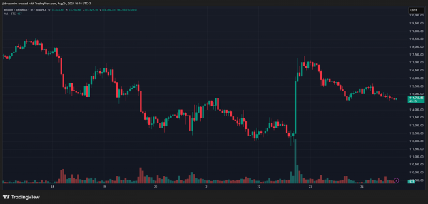 Итоги недели: Ethereum обновил ATH, а два биткоин-пула захватили 51% хешрейта Итоги недели: Ethereum обновил ATH, а два биткоин-пула захватили 51% хешрейта