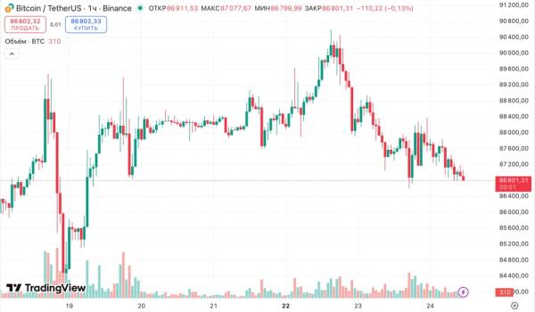 Эксперты указали на концентрацию капитала в биткоине и Ethereum&nbsp;