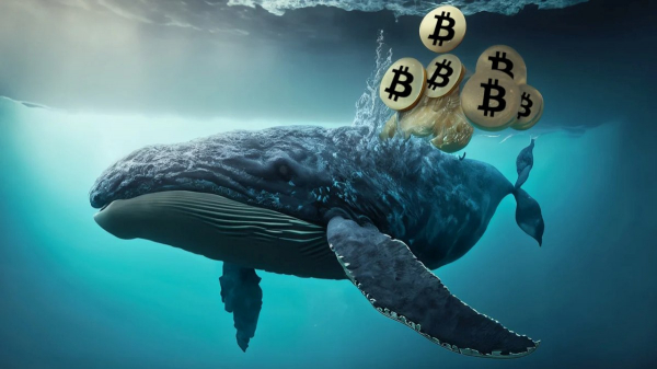 Накопление биткоинов «китами» достигло максимума с 2024 года
Накопление биткоинов «китами» достигло максимума с 2024 года